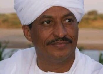 د. دينكاوي و(ICAO)..!!