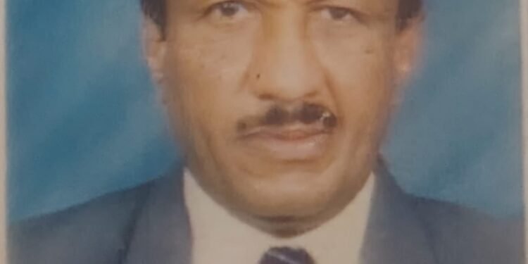 سيف الدين خواجة