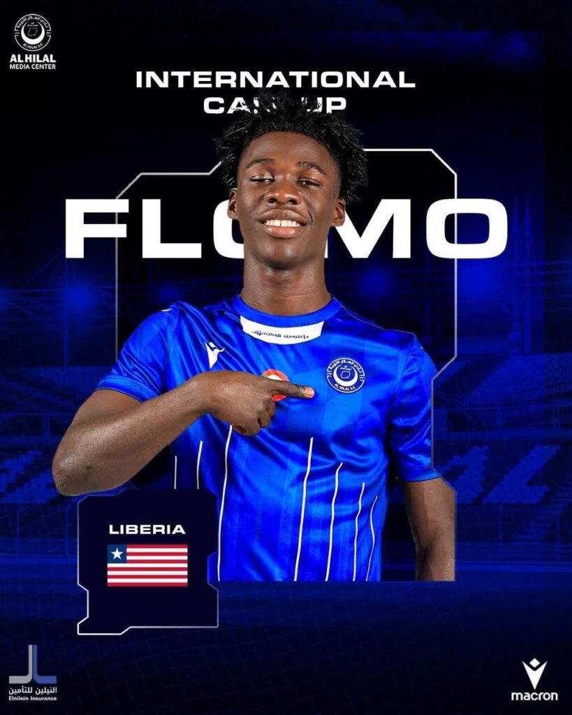 floomo