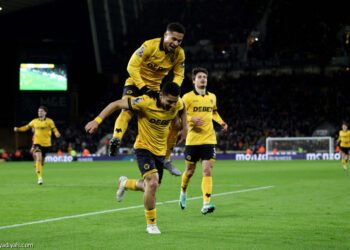 وولفرهامبتون